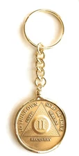 AA NA Medallion Keychain Chip Holder 18k Gold Plated Fits Wendells Bronze and