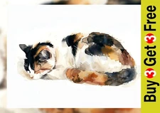 Sleeping Calico Cat 5"x7 Print on Matte Paper | Peaceful Watercolor Artwork