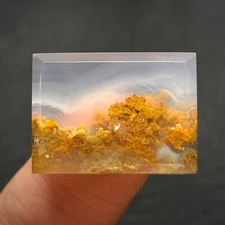 Scenic Moss Agate Cabochon 19.5x14.3x4mm High Quality 14.5 ct