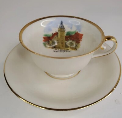 Bavaria Bone China Waldershaf, Bavaria Mosbach, Germany Scene Teacup Tea Cup