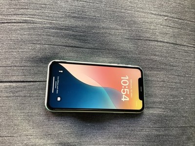 Apple iPhone 11 A2221 - 64GB - Grün (Ohne Simlock) (Dual-SIM)