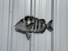 21" Sheepshead Half Mount Fish Replica - In Stock & Ready to Ship