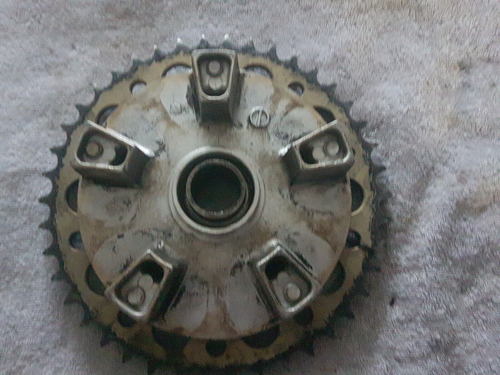 Picture 15 of 15