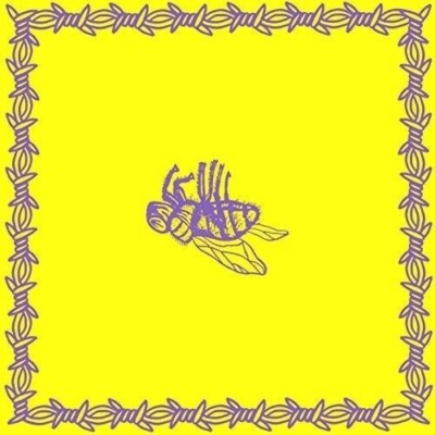 Milk Teeth - Be Nice EP on sealed 12 vinyl via Hopeless Records