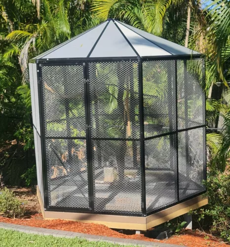 2320h 2400w Diagonal Bird Cage Chicken Canary Parrot Mesh Enclosure Aviary - Picture 24 of 24