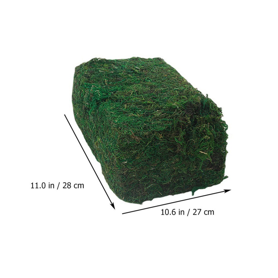 Artificial Moss Imitated Plant Faux Decor Dried for Potted Plants eBay