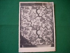 ANTICA FOTO IN BIANCO E NERO ARAZZO CON PAPPAGALLI*