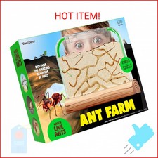 Dan Darci Ant Farm Kit for Kids - Farms Colony - Includes Ants Voucher - Sand Ha