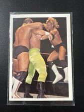 1988 Wonderama NWA - Lex Luger #35