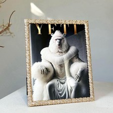 Lesermoorer Metal Glass Photo Frames 8x10 Jeweled Picture Frames Rhinestones
