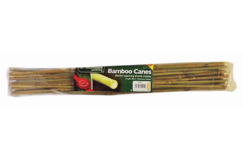 ebay garden canes