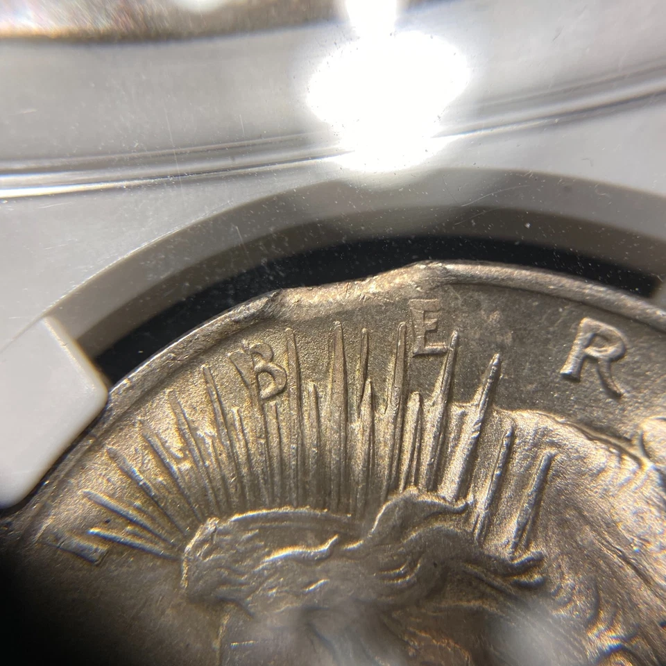 1922-P Peace Silver Dollar $1 NGC Mint Error MS62 ~ Curved Clip - Image 4 of 4