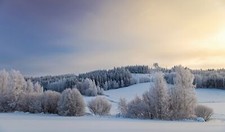 Landscape nature winter Custom Gaming Mat Desk