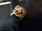 Foto 10 di 14