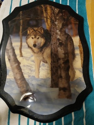 Decorative Wolf Wall Plaque The Lone Wolf