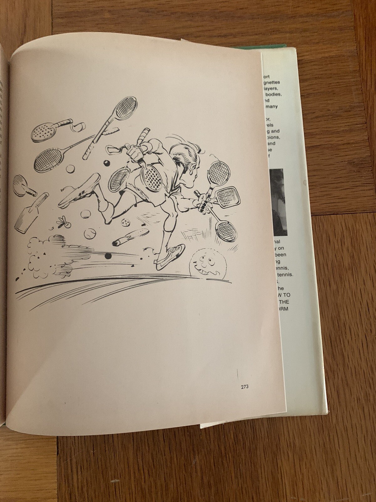 Picture 16 of 16