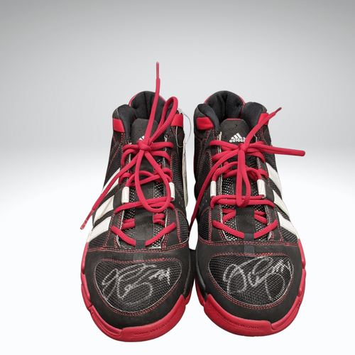 adidas toronto raptors shoes