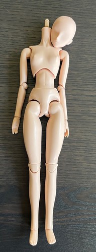 Volks Japan 27cm 1/6 Custom Doll Base New-EB A Body & Blank Head