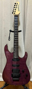 Washburn Mg | eBay