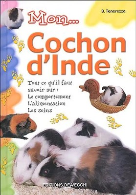Mon cochon d'Inde - Tenerezza, B