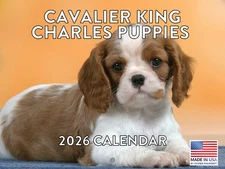 Cavalier King Charles Puppy Calendar 2026 Monthly Wall Calender 12 Month