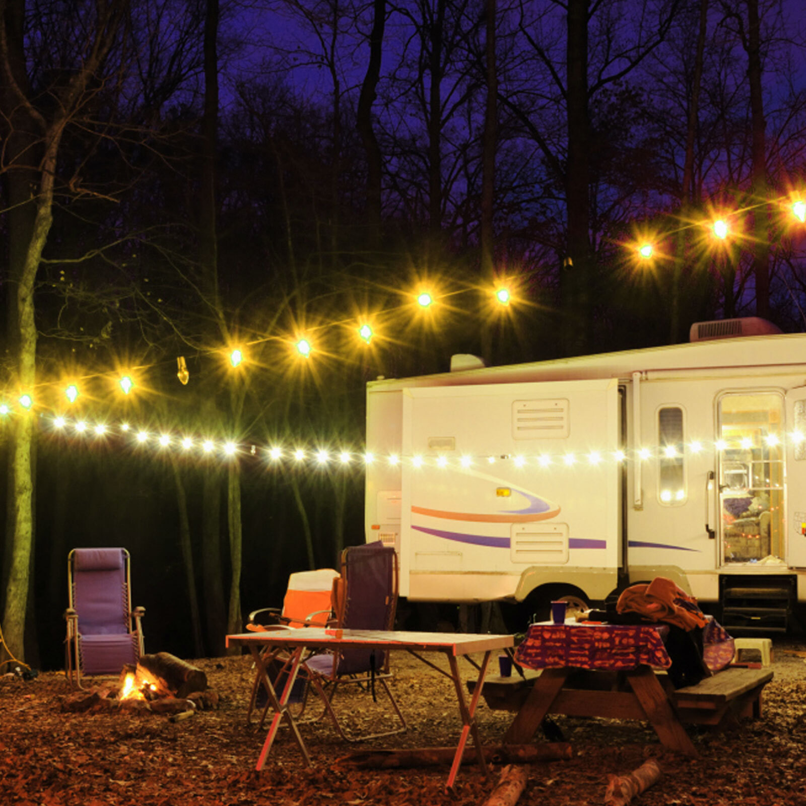 24FT USB Powered Festoon Outdoor String Lights Dimmable S14 Garden