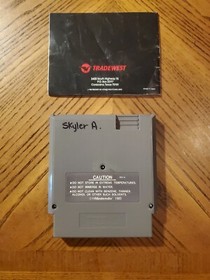 Double Dragon (Nintendo Entertainment System, 1988) NES w Manual & Hard Case