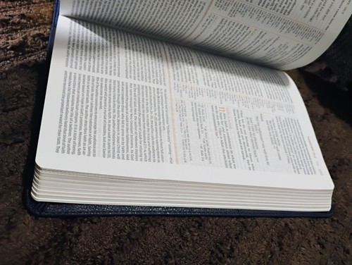 NIV Grace Truth Study Bible Navy Leathersoft - Picture 19 of 22