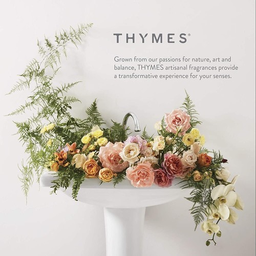 Thymes Frasier Fir Dishwashing Liquid Soap - Eco Friendly Dish Soap Liquid fo... - Picture 6 of 6