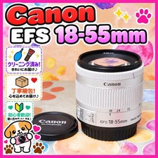 Canon EF-S 18-55mm IS STM Canon EF-S Zoom Lens