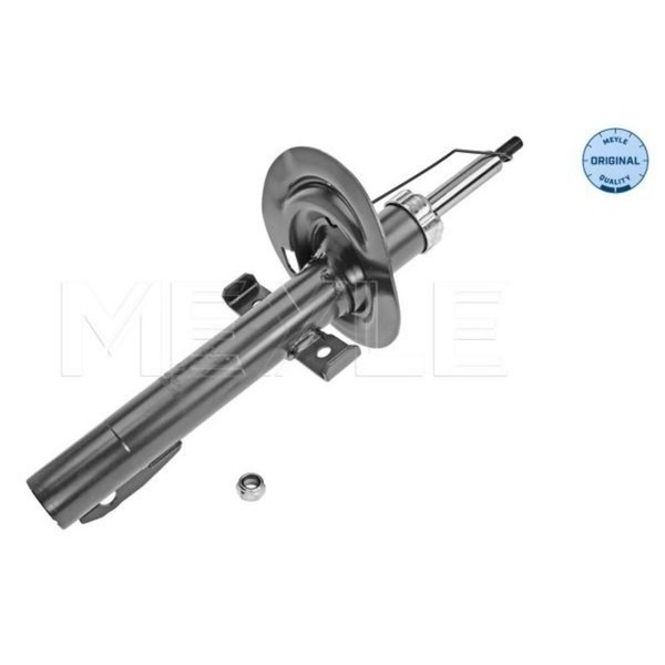 Meyle StoßDäMpfer Vorderachse Passend FüR Renault ScéNic II JM0/1_ Grand-image