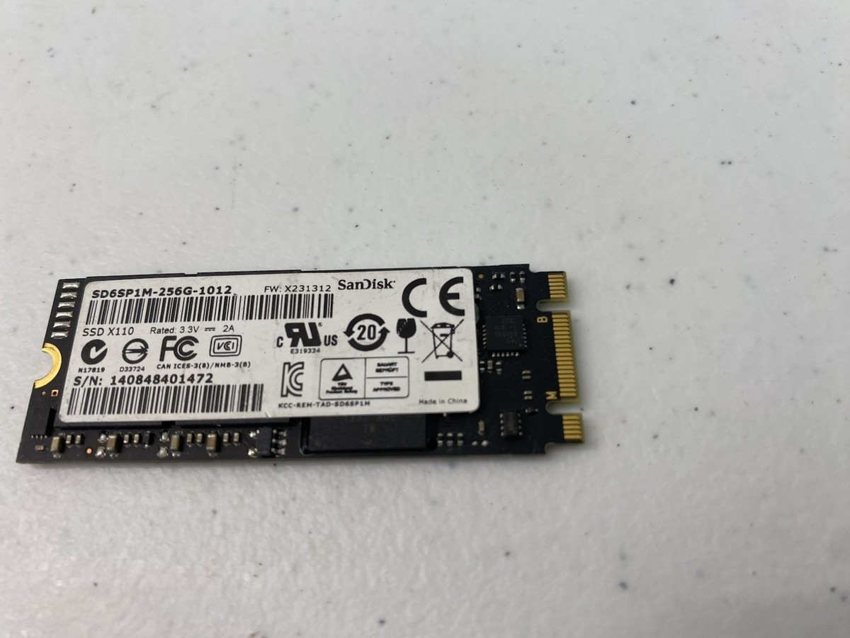 SanDisk X110 256GB Internal (SD6SP1M-256G-1012) for sale