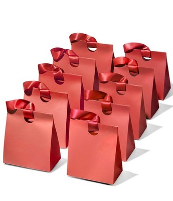 Vitalizart Red Paper Gift Bags w/ Ribbon Handles - 10-Pack Reusable Birthday Par