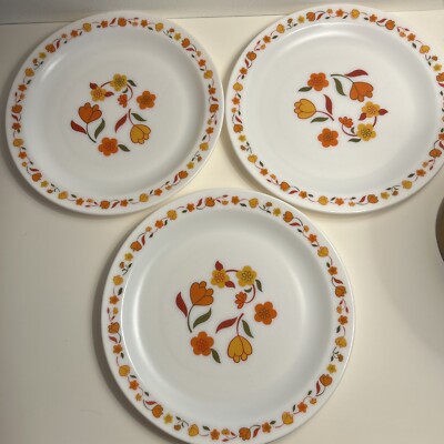 3 Arcopal Orange Blossom And Tulip Collection 11  Dinner Plates