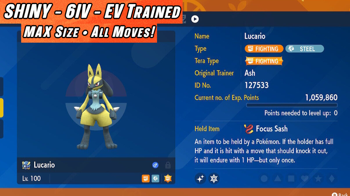 Lucario Shiny 6IV ✨ Battle Ready ✨Pokemon Scarlet & Violet 🚀Fast Trade🚀