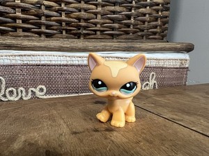 Figurine Littlest Pet Shop Hasbro - Chat Maine Coon #2386 - Occasion