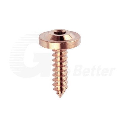 Titan Verkleidung Schrauben M4 M5 M6 Torx Selbstschneidende für Motorrad E-Bike