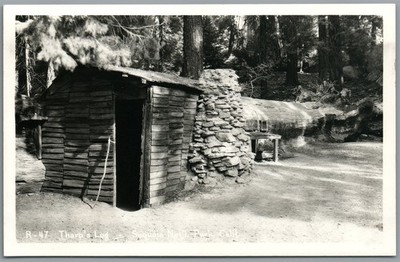RPPC Postcard Tharps Log Sequoia National Park CA tree house photo unposted