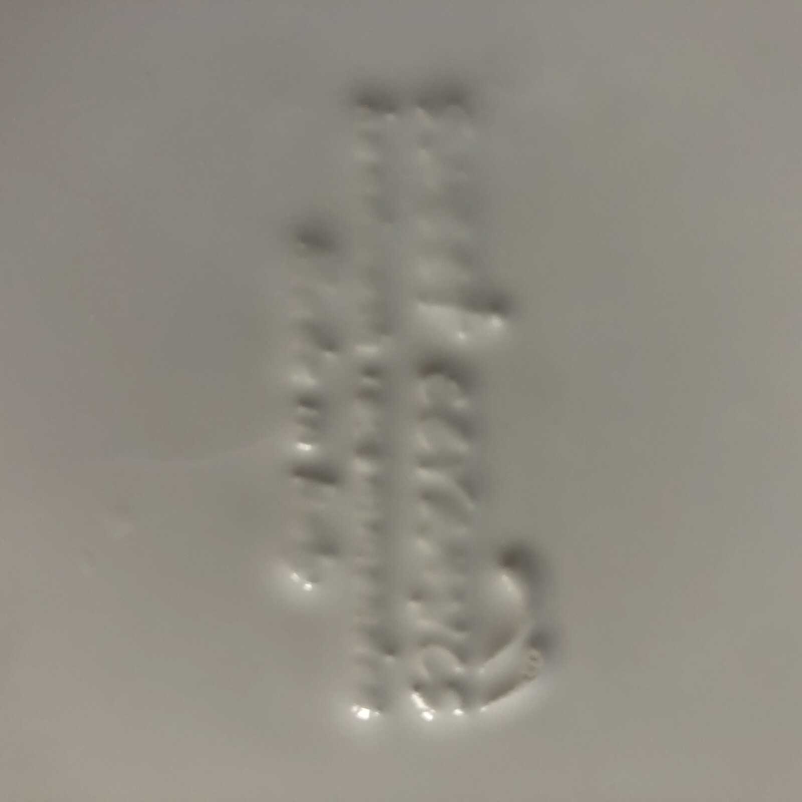 Picture 8 of 13