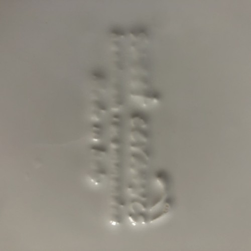 Sweet Ceramics Dinner Plate 11.75" Le Ceramica d'Italica White Embossed Design - Picture 8 of 13