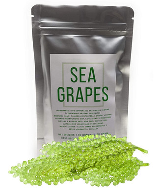Umibudo Sea Grapes - Delicious Green Caviar Seaweed, Pure Caulerpa Lentillifera