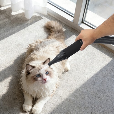 #ad #ad Adjustable Speed amp; Temperature 3600w Pet Dryer With 2 Nozzles amp; Hose For Dog Cat $192.68