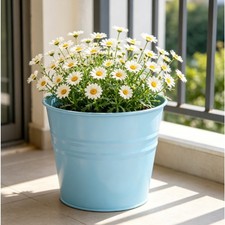 Sturdy Thickened Iron Flower Pot for Long Lasting Indoor Outdoor Display