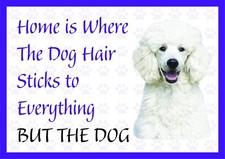 Home is Where The Dog Hair-Funny White Poodle Vinyl Car Decal Sticker