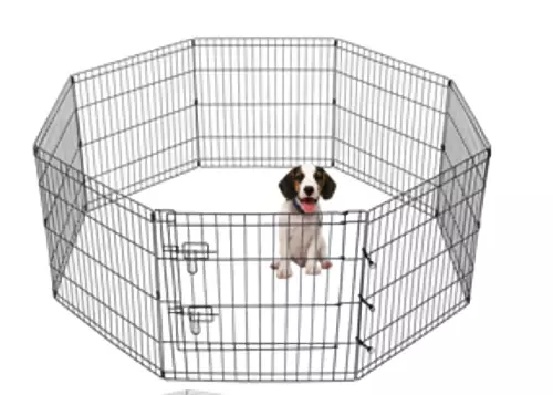 Retojo libre YOUNGSTER XL cordero para cachorros escape cachorros perros corral - Imagen 1 de 8