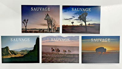 Dior Sauvage Eau De Parfum Store Display Print Ad Postcards Lot of 5pcs 6x4inch