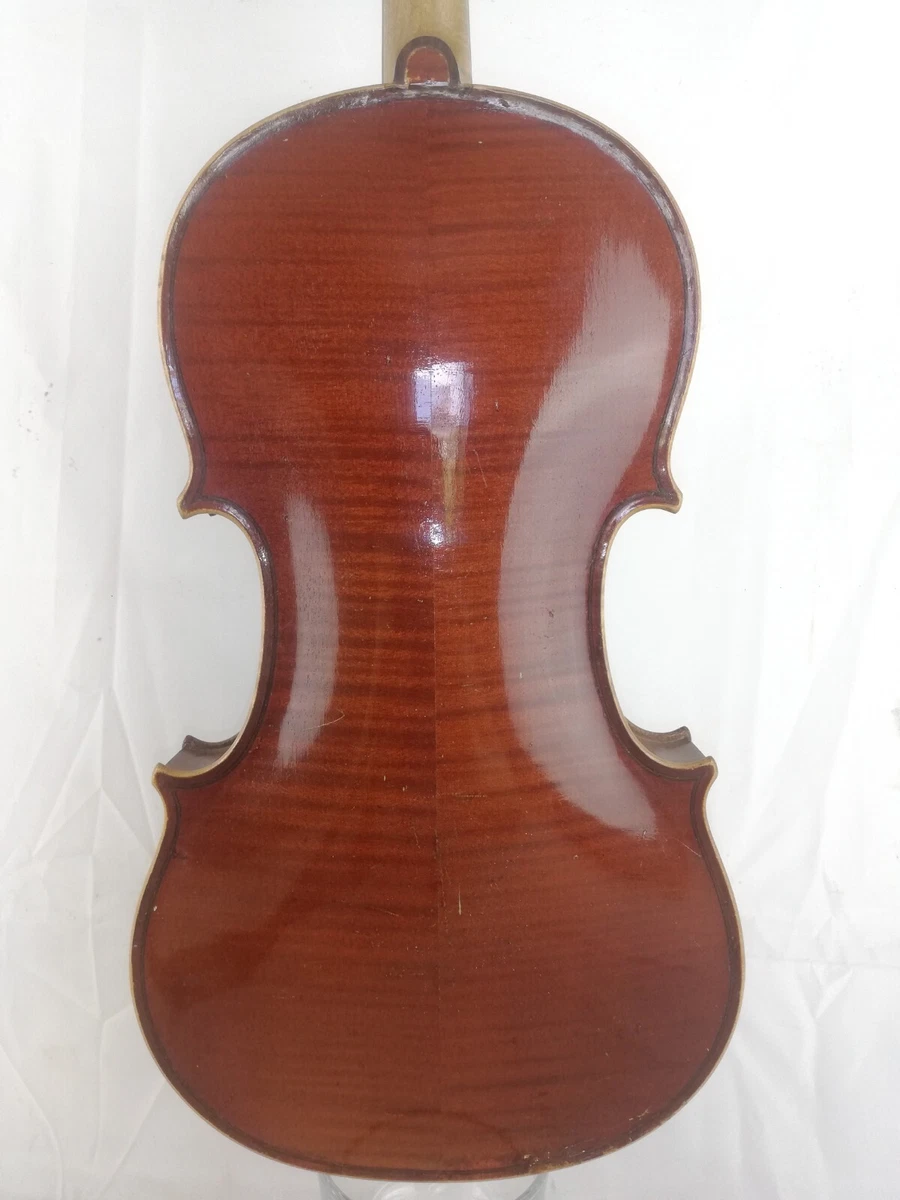 Capicchioni violin 2024