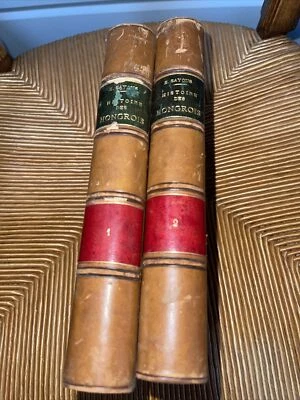 Ancien Livre Relié Histoire Général Des Hongrois 2 Tomes Par Edouard Sayous XIX - Photo 1/4