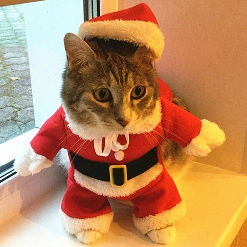 Christmas Cat Costumes Funny Santa Claus Clothes Small Cats Dogs Xmas New Year - Picture 2 of 10