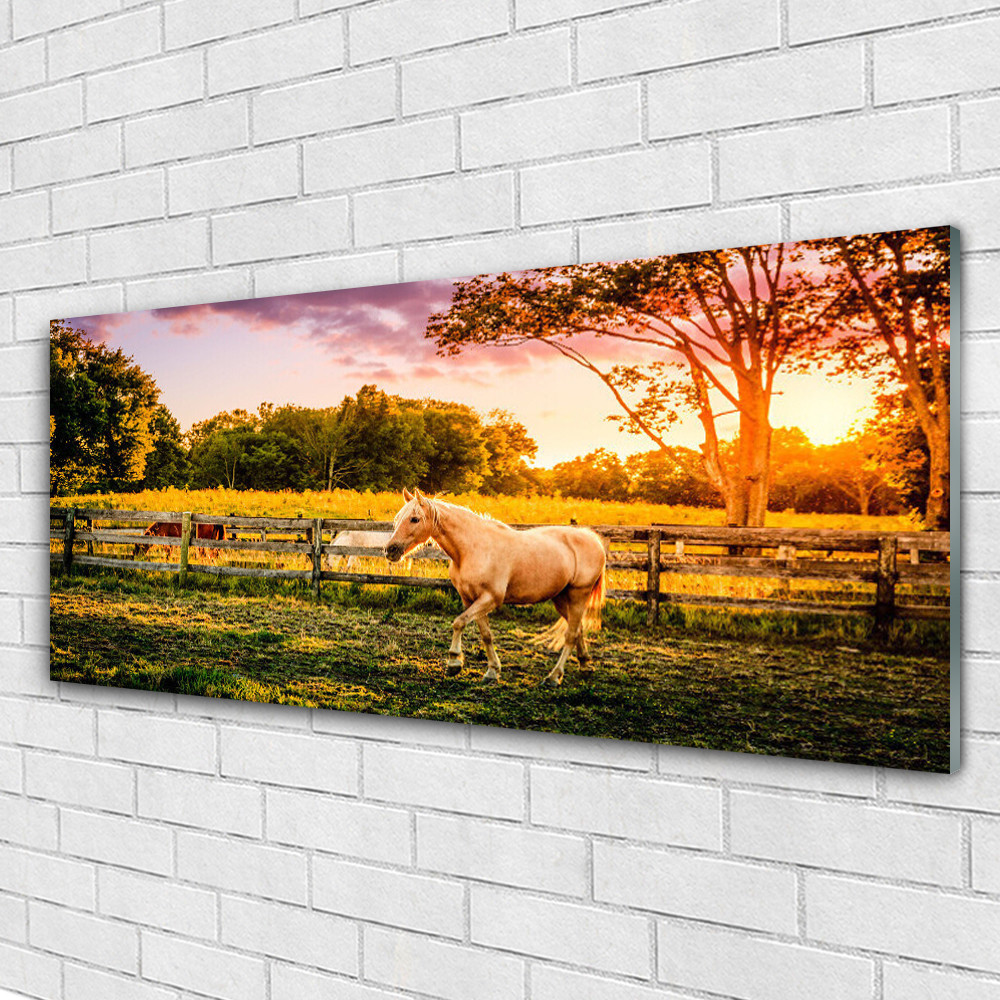 Impression sur verre image tableaux 125x50 animaux cheval prairie pour deco murale